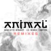 Download track Animal (Jeff Nang Remix Clean)