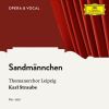 Download track Traditional: Sandmännchen