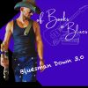 Download track Bluesman Down 3.0