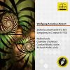 Download track Symphony No. 40 In G Minor, K. 550 I. Molto Allegro