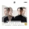 Download track String Quartet No. 13, D 804 Rosamunde II. Andante