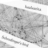 Download track Schrodinger's Bird