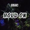 Download track Hold On VIp