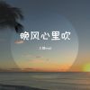 Download track 晚风心里吹 (伴奏)