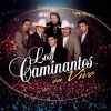 Download track Camino De Guanajuato (En Vivo)