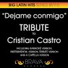 Download track Dejame Conmigo In The Style Of Cristian Castro (A Capella Version)