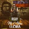 Download track Mi Alma Llora