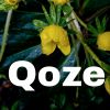 Download track Qozeez