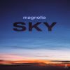Download track Sky (Extended Mix)