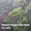 Download track Rumbling Thunder & Wind Sounds, Pt. 2