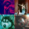 Download track Vibrant Backdrops For Lonely Dogs