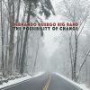 Download track The Possibility Of Change