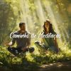 Download track Caminhos De Luz