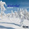 Download track Wonderland (Physical Phase Remix)