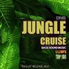 Download track Jungle Ting