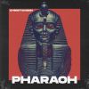 Download track Pharaoh (Extended Mix)