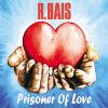 Download track Prisoner Of Love (Instrumental)