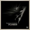 Download track Flumen