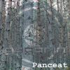 Download track Panceat (Emergo Mix)