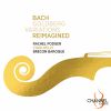 Download track Bach Goldberg-Variationen, BWV 988 (Arr. For Solo Violin And Ensemble By Chad Kelly) Variation 6 Canone Alla Seconda - Variation 7 Al Tempo Di Giga - Variation 8