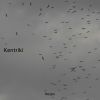 Download track Kentriki