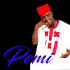 Download track Pemi