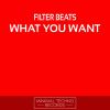 Download track What You Want (Leonard Van Helden Remix)