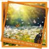 Download track Dewdrops On Spring Leaves