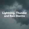 Download track Light Winter Rain