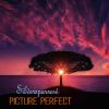 Download track Picture Perfect (Ibiza Sunrise Vocal Mix)