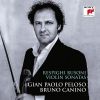 Download track Violin Sonata In B Minor, P. 110- II. Andante Espressivo