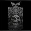 Download track Doomed By The Vision