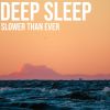 Download track Slower That Ever