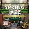 Download track Spring Jazz Acoustics