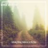 Download track Calming Hiking Ambience In The Rain, Pt. 18