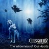 Download track The Wilderness Of Our Hearts