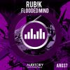 Download track Flooded Mind (Extended Mix)