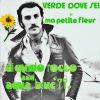 Download track Verde Dove Sei