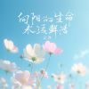 Download track 向阳的生命永远鲜活 (和声伴奏)