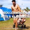 Download track 20 Zentimeter (Ballermöhre Mix)