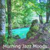 Download track Stellar Moods For Quiet Mornings