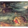 Download track 01. Oratorio Della SS Vergine - Sinfonia