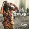 Download track Screaming (Original Mix)