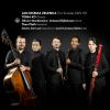 Download track Sonata No. 2 In G Minor, ZWV 181, 2: III. Andante - Adagio