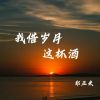 Download track 我借岁月这杯酒 (DJ版)