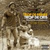 Download track Trop De Peines, Trop De Cris