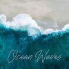 Download track Crashing Ocean Waves At Night