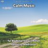 Download track Calm Music, Pt. 56