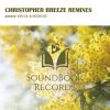 Download track Arabesque (Christopher Breeze Cut)