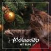 Download track Weihnachten Is Stille Nacht